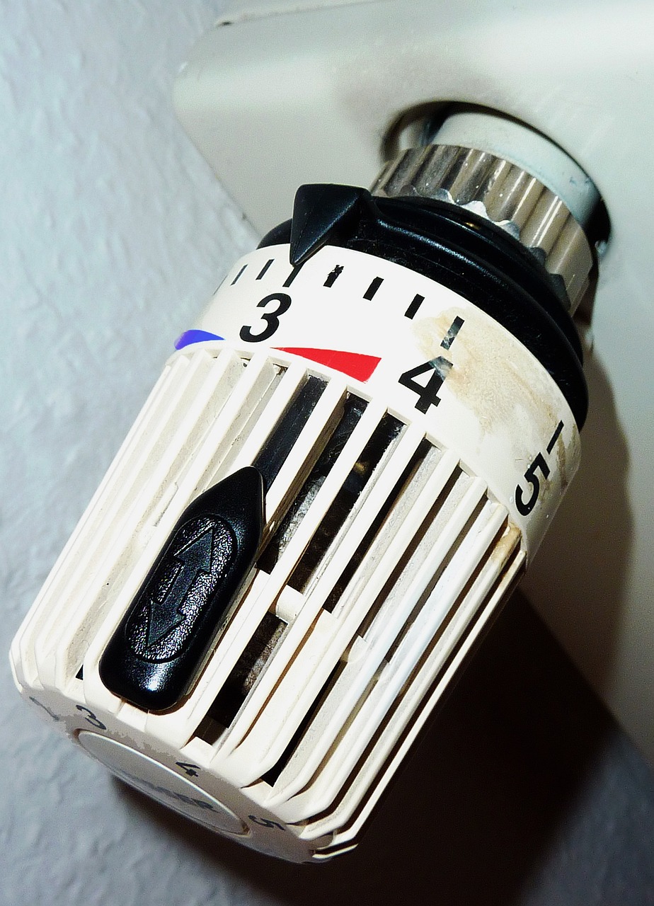 thermostat, regulator, temperature controller